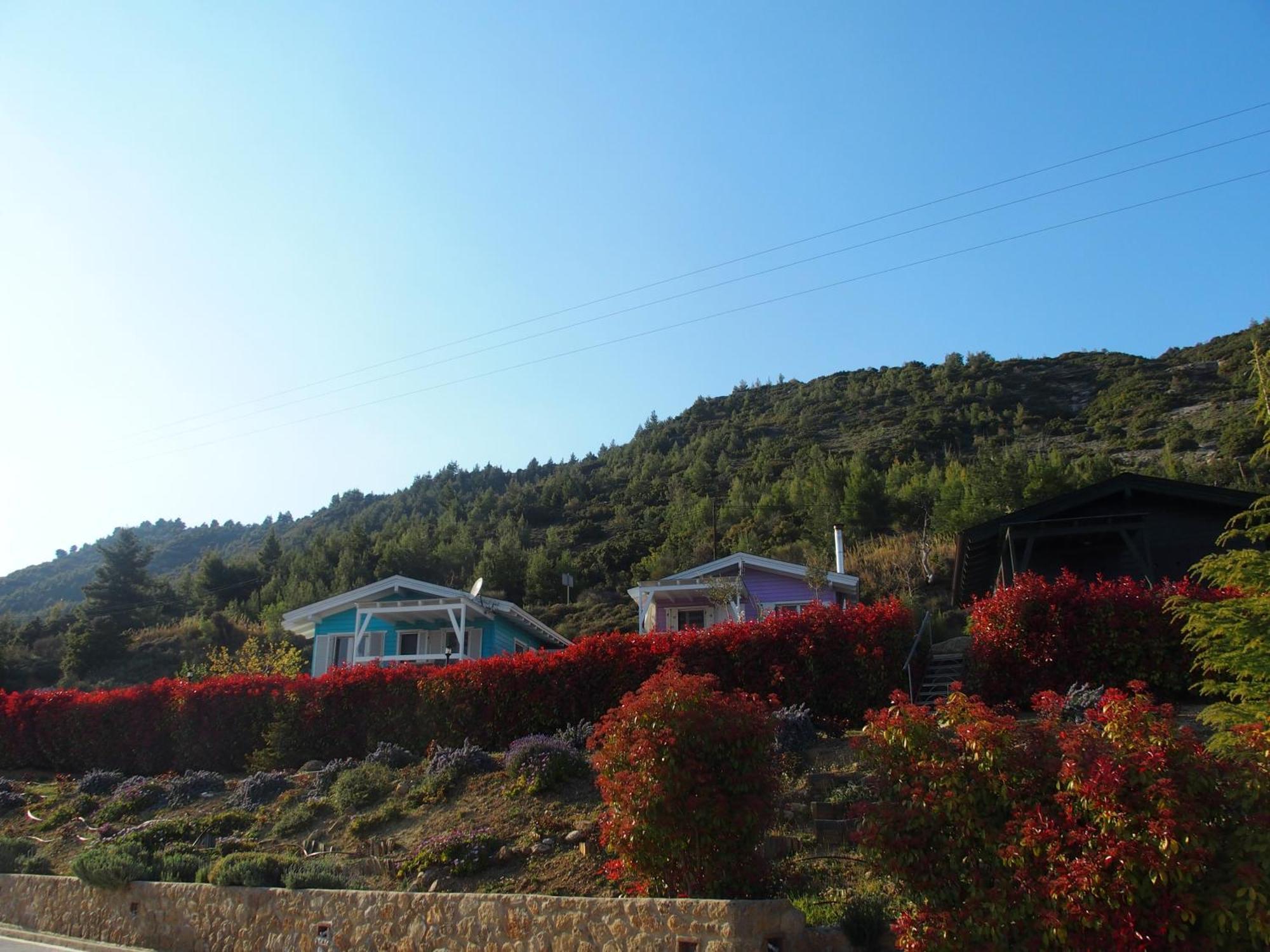 Hotel Ktima Noosfera Wellness & Retreat Center à Karya Extérieur photo